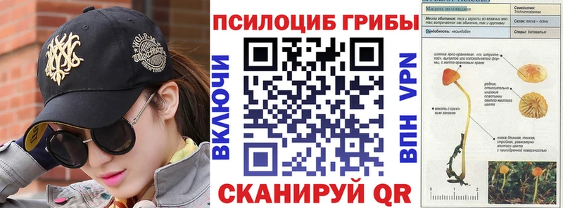 Галлюциногенные грибы Psilocybine cubensis где найти наркотики Черемхово