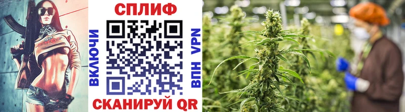 Конопля OG Kush  Черемхово 